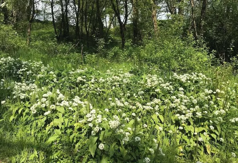 4 Bed Room Bungalow , Open Fire ,perfect Choice