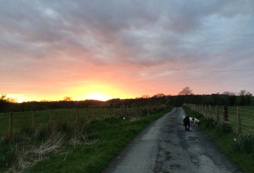 4 Bed Room Bungalow , Open Fire ,perfect Choice