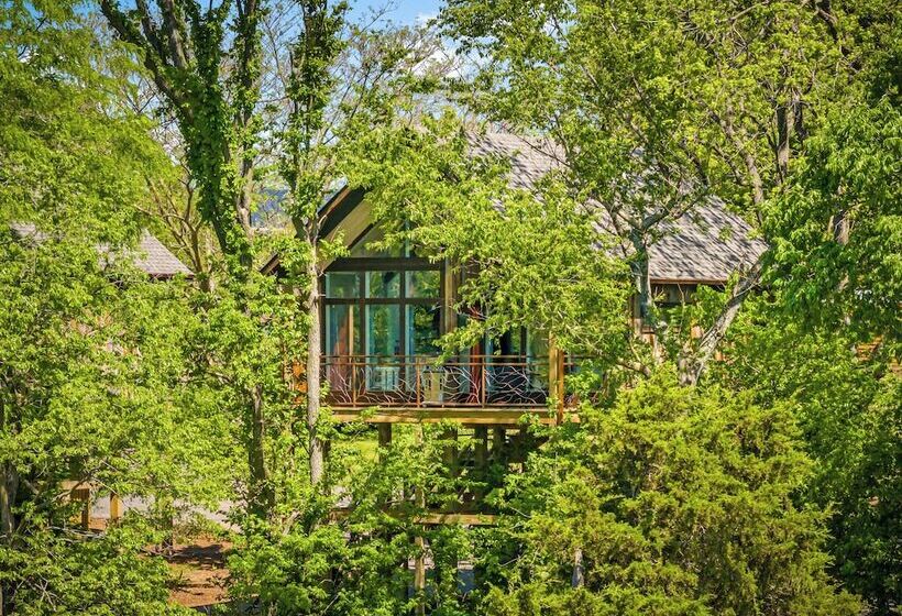 فندق Fairway Treehouses