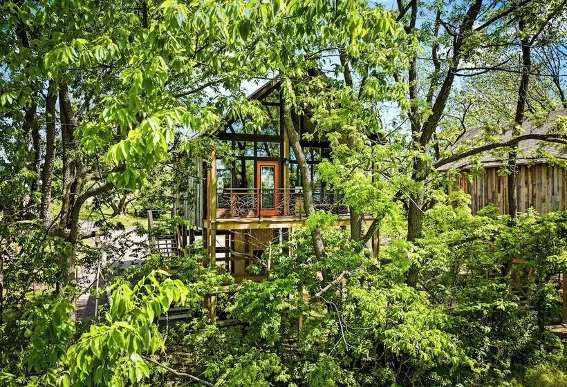 Hotelli Fairway Treehouses