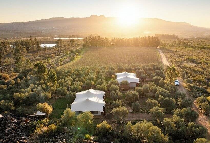 호텔 Wagyu Mountain Lodges