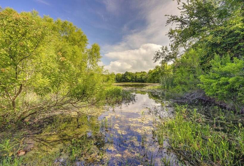San Antonio Home W/ Fenced In Yard: Steps To Park!