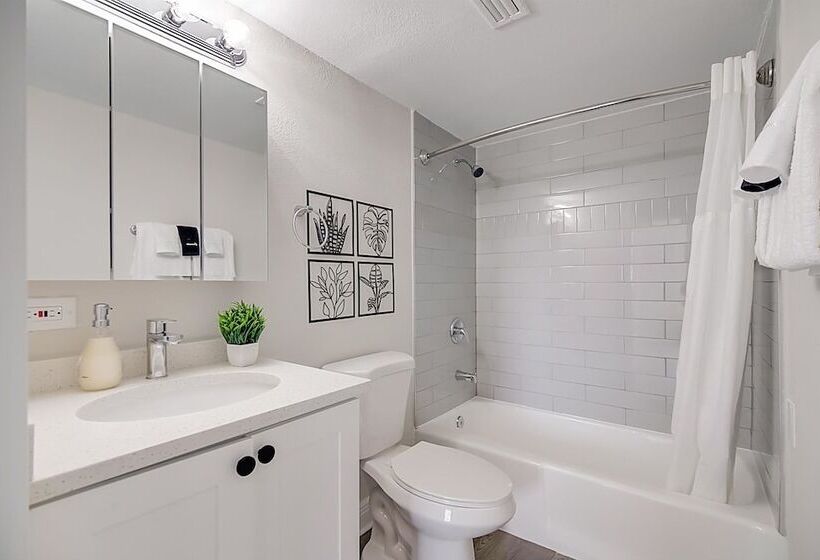 Barsala At The Wayland