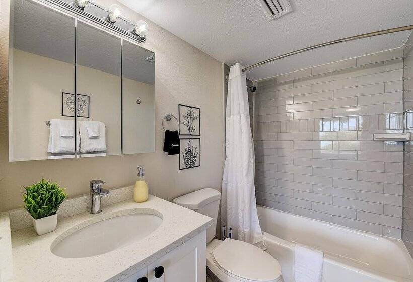 Barsala At The Wayland