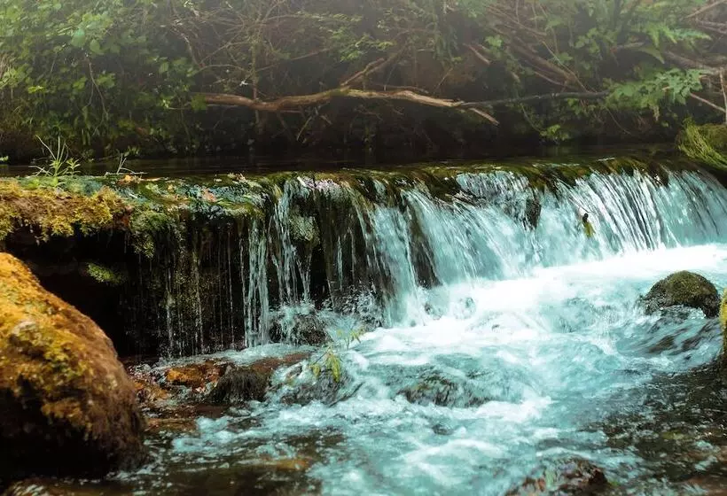 ベッドアンドブレックファースト Le Château De Sorgues