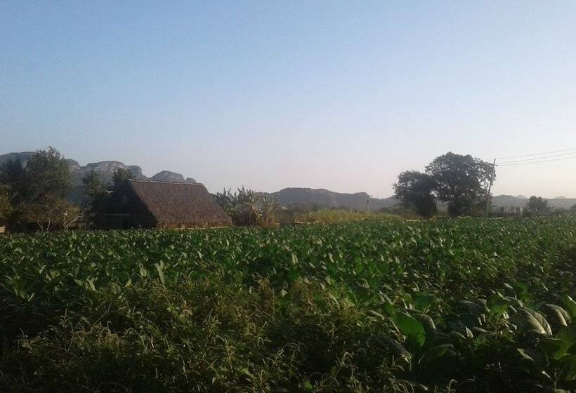 پانسیون Casa Jardin Yusniel Y Lida