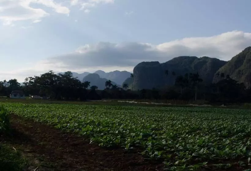 ペンション Casa Yiyo El Guajiro De Viñales