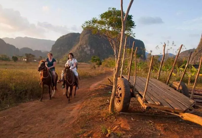 ペンション Casa Yiyo El Guajiro De Viñales