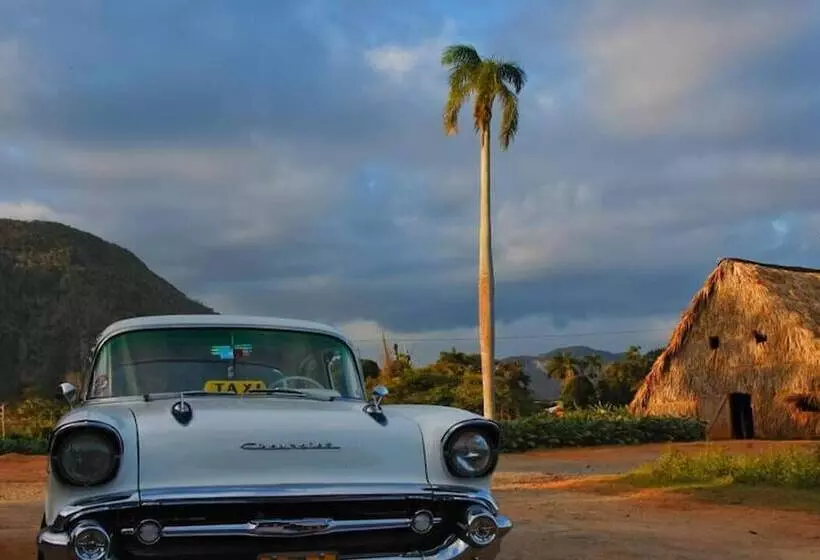 ペンション Casa Yiyo El Guajiro De Viñales
