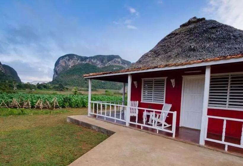 ペンション Casa Yiyo El Guajiro De Viñales