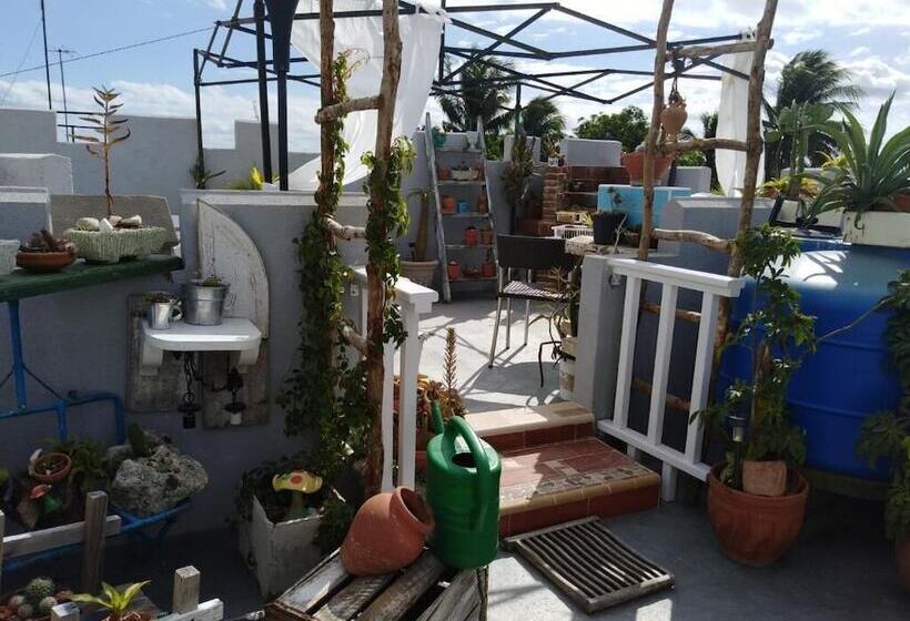 پانسیون Hostal Katia