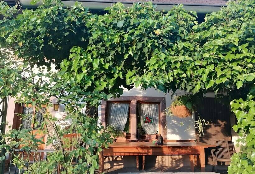 بنسيون Room In Guest Room   Double Room Linden Blossom