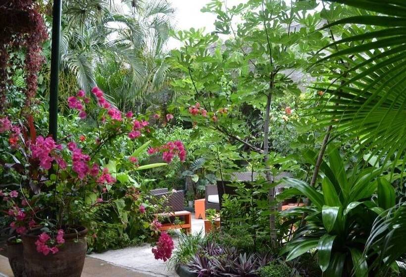 پانسیون Hostal Colibri Azul