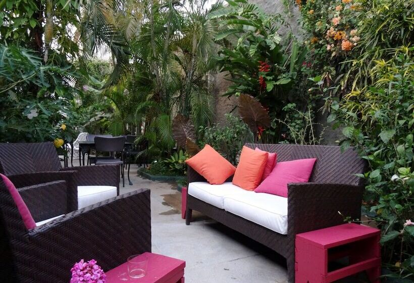 پانسیون Hostal Colibri Azul