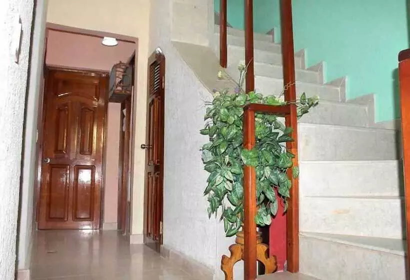 پانسیون Hostal Colibri Azul