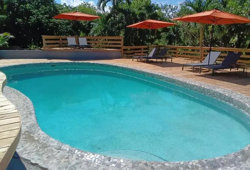 هتل Lf Jungle Retreat