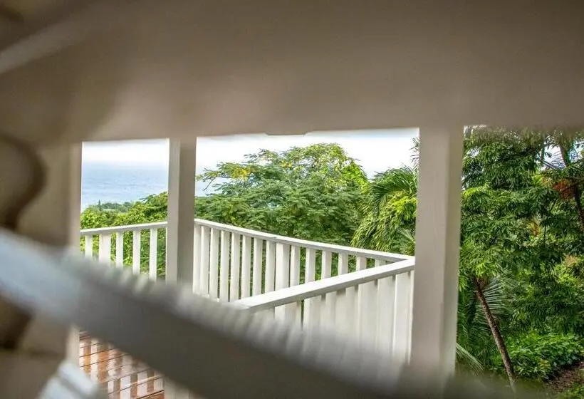 هتل Lf Jungle Retreat