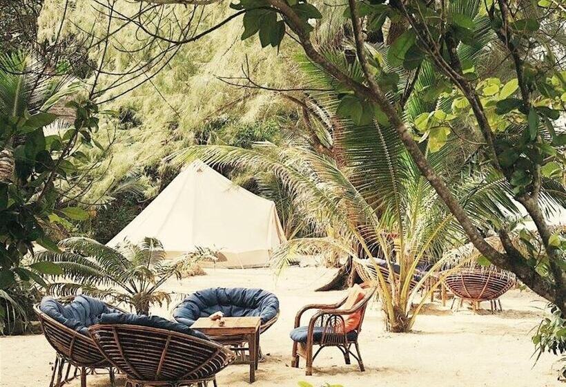 הוסטל Robinson Bungalows