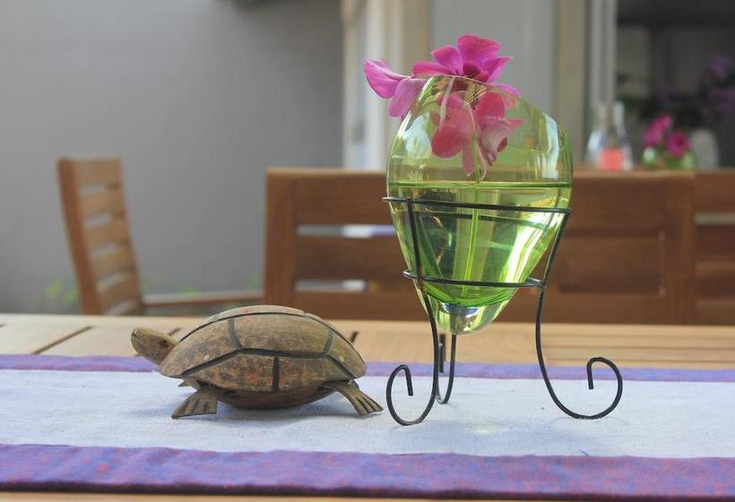 ベッドアンドブレックファースト Eka Beach