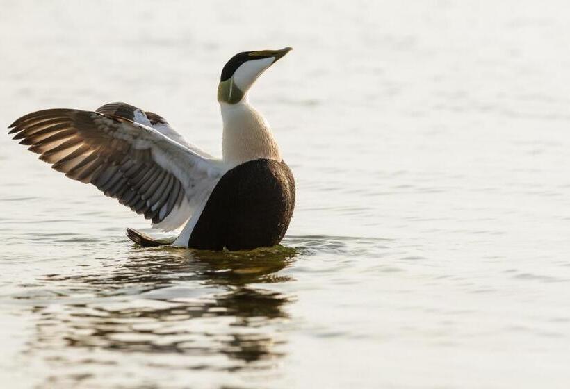 בית מלון כפרי Kylmäpihlaja Lighthouse