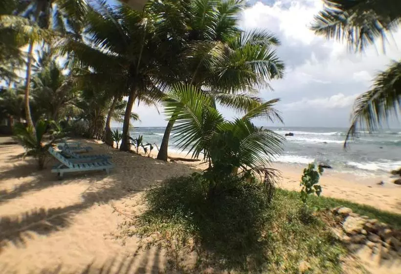 ホテル Ram S Surfing Beach,midigama