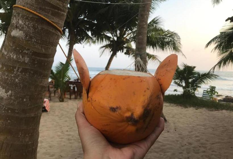 فندق Ram S Surfing Beach,midigama