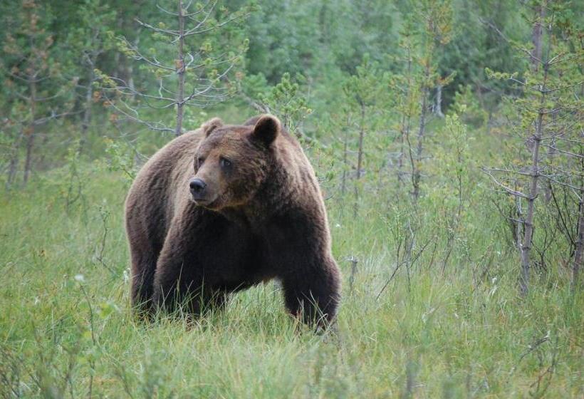 Norwide   Hossan Lomakeskus