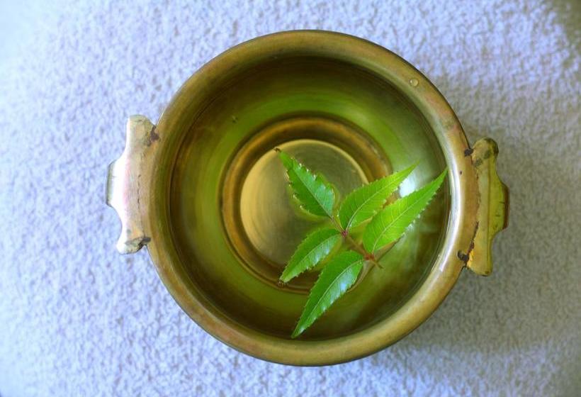 Lomakeskus Sea Star Beach Homes