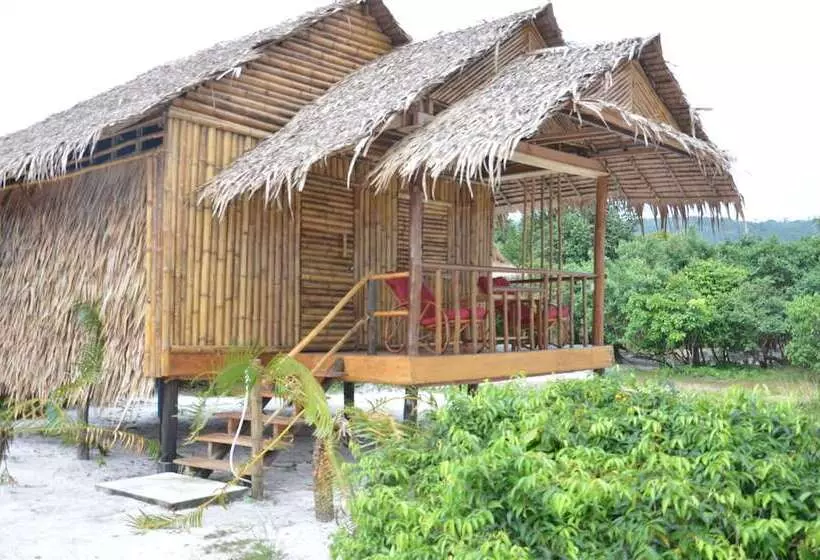 استراحتگاه Tree Bar Hostel