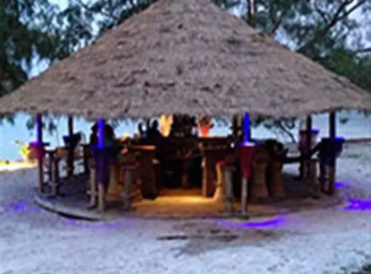 استراحتگاه Tree Bar Hostel