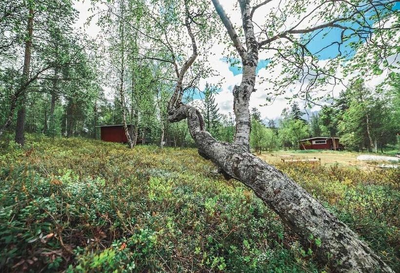 リゾートホテル Ukonjärven Holiday Village