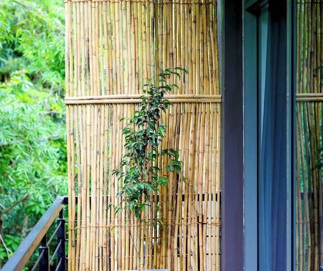 Pensjonat Forest Face Lodge