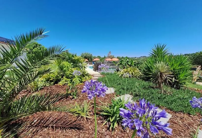 ベッドアンドブレックファースト Casa Dani Studio S, Tomar