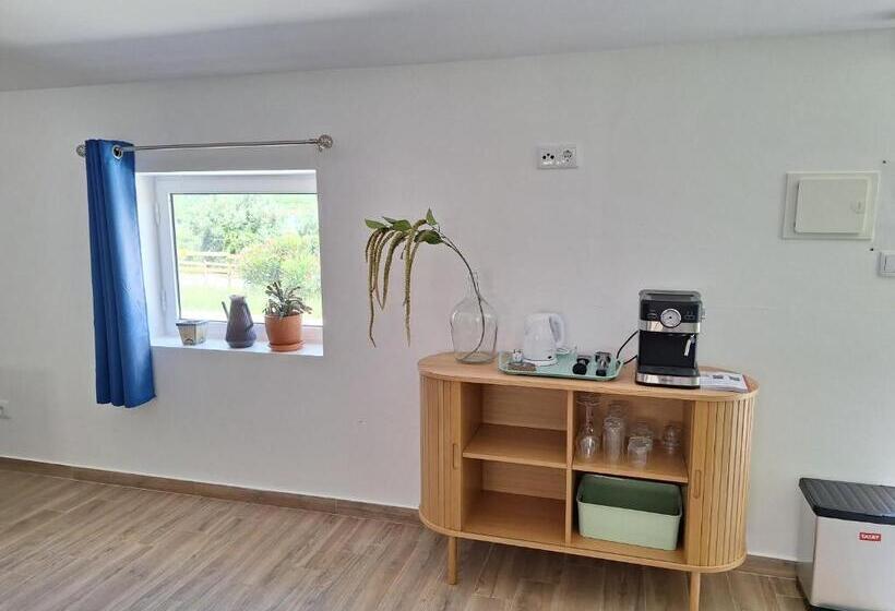 تختخواب و صبحانه Casa Dani Studio S, Tomar