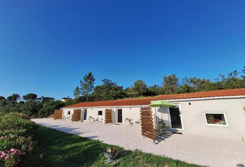 تختخواب و صبحانه Casa Dani Studio S, Tomar