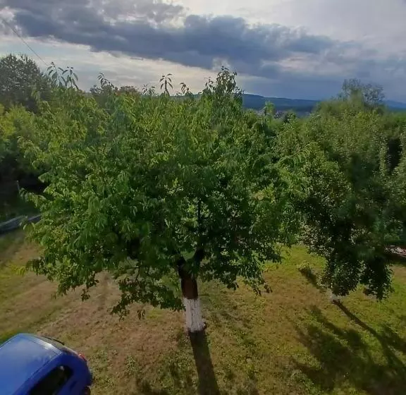 Majatalo Colina Farm