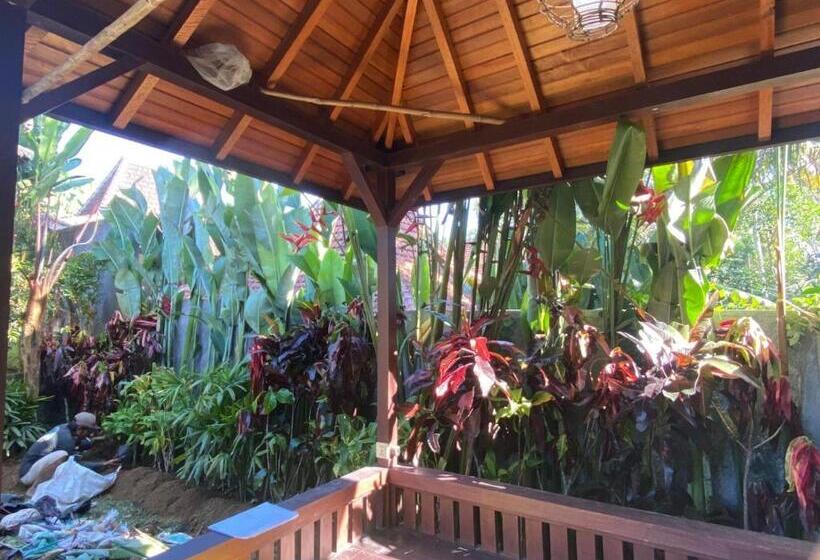 膳宿费 Rumanero Bunglows