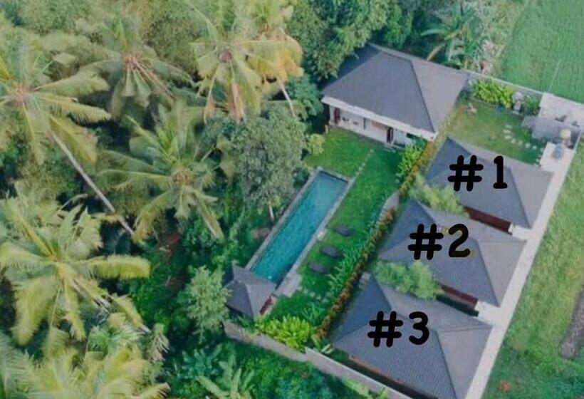 膳宿费 Rumanero Bunglows