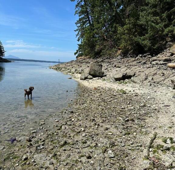 پانسیون Thetis Island Get Away Cottage