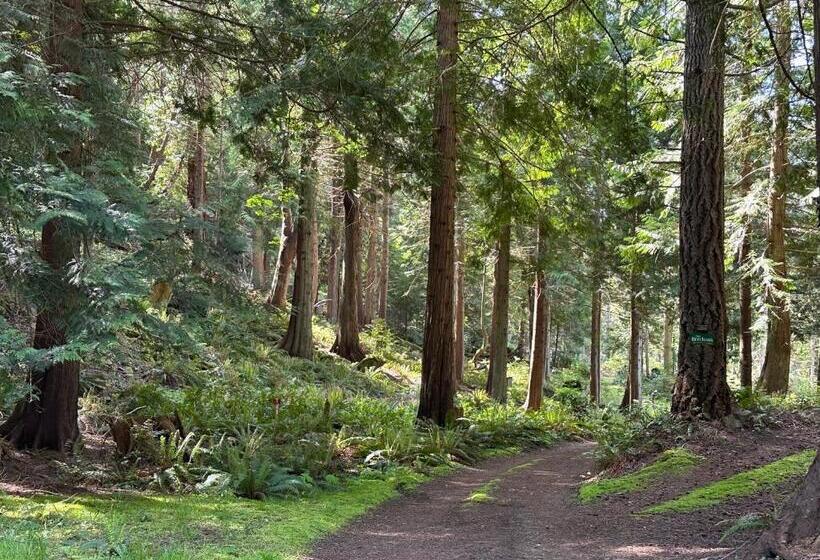 پانسیون Thetis Island Get Away Cottage