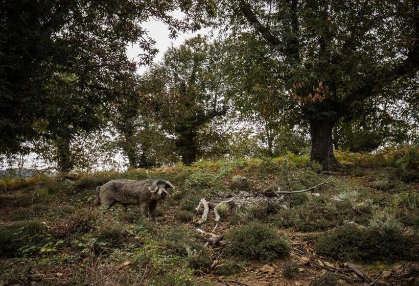 مبيت وإفطار Chambre De Charme à Evisa