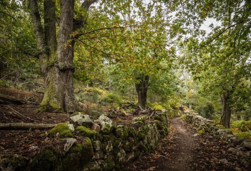 مبيت وإفطار Chambre De Charme à Evisa