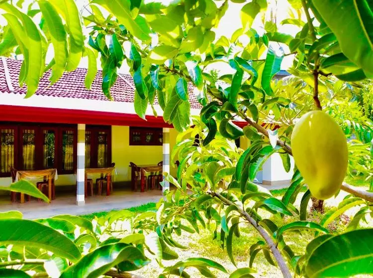 Aamiaismajoitus (B&B) Lake Edge Villa