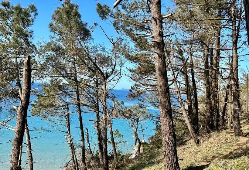 Aamiaismajoitus (B&B) Les Sternes