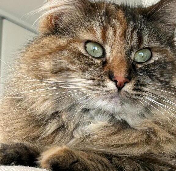 Bed and Breakfast Les Sternes