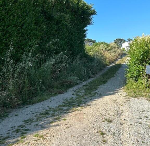 Bed and Breakfast Les Sternes