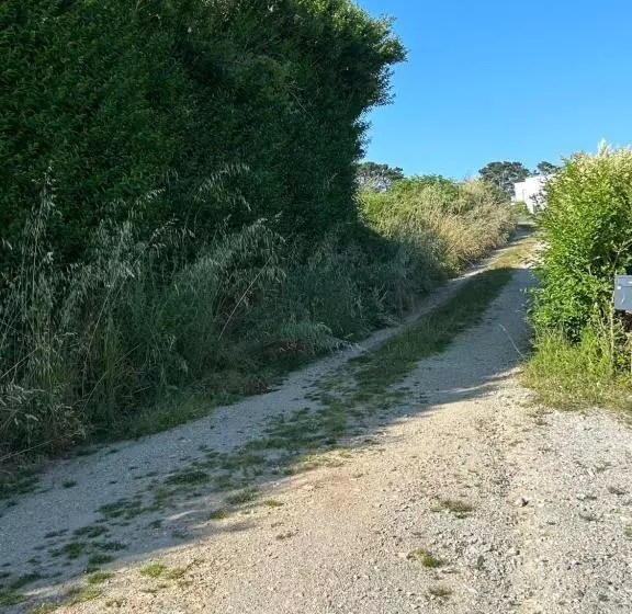 Aamiaismajoitus (B&B) Les Sternes