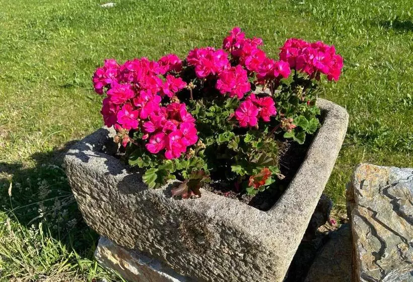 Aamiaismajoitus (B&B) Les Sternes