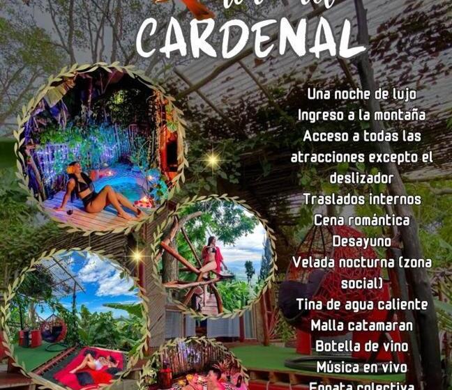 هتل Nidos De Pajaros