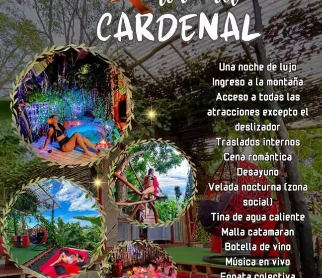 ホテル Nidos De Pajaros